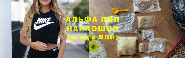 apvp Алзамай