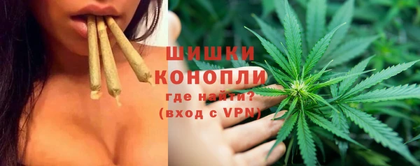 apvp Алзамай