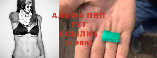 прущий лед Абаза