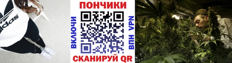 как найти наркотики  Плавск  Конопля планчик 
